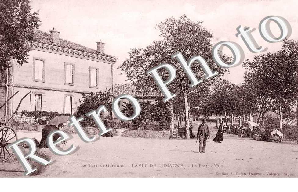 la patte d'oie