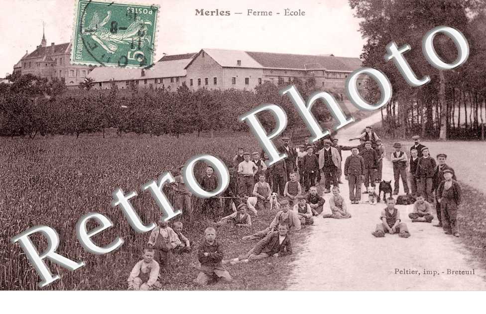 Ferme, Ecole