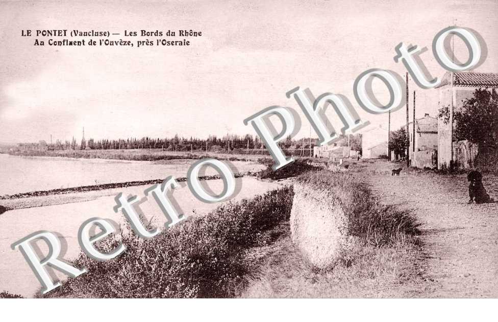les bords du Rhone