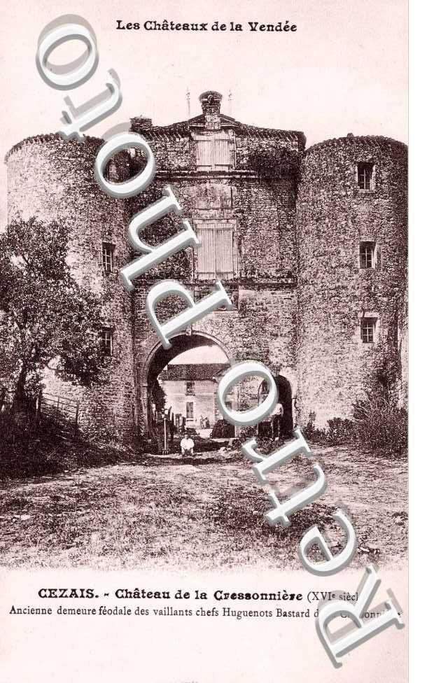 Chateau de la Cressonniere