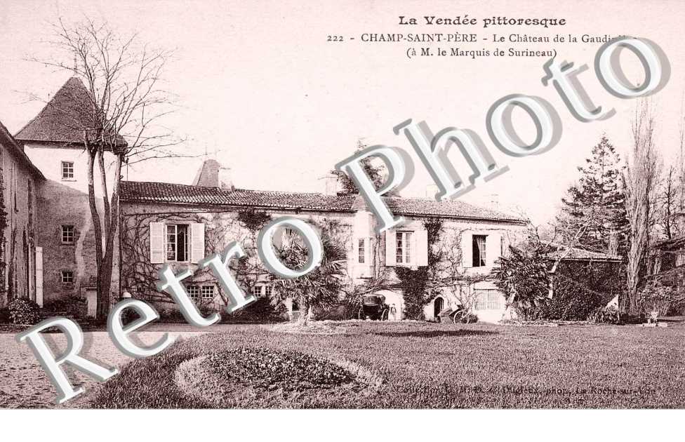 Le Chateau de la Gaudiniere