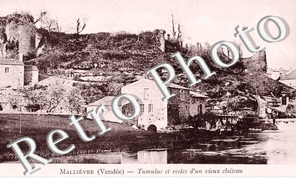 Tumulus et restes d'un Vieux Chateau