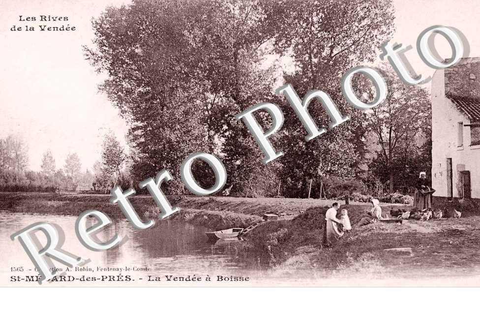 les Rives de la Vendée