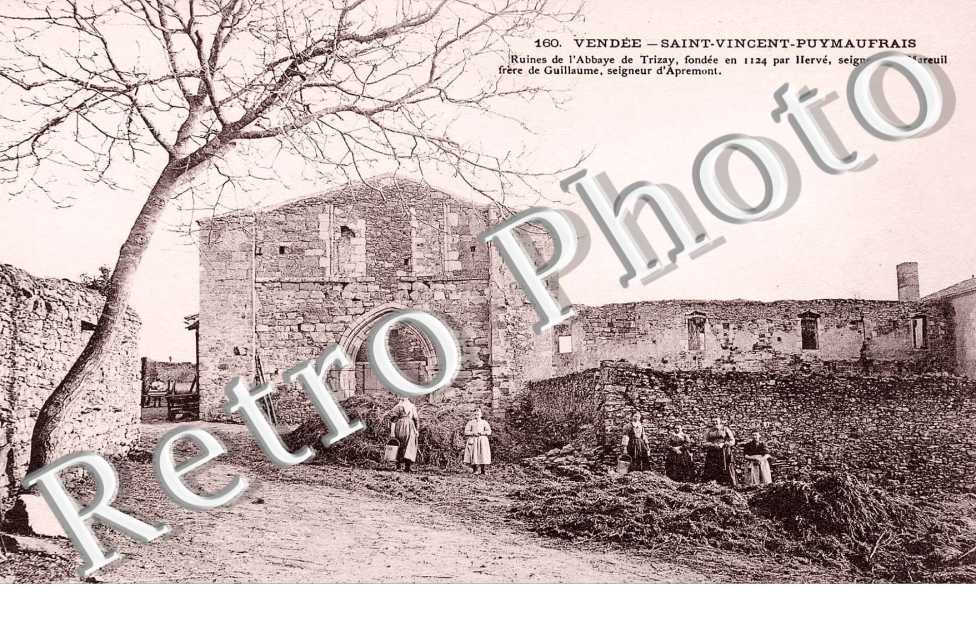 Ruines de l'Abbaye de Trizay