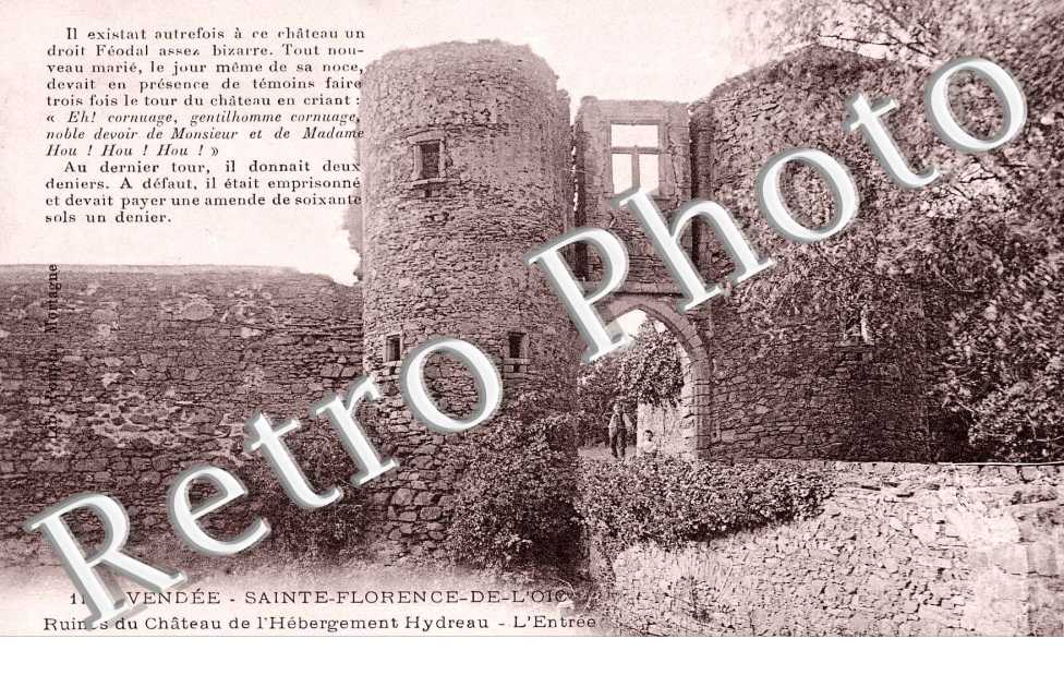 ruines du chateau de l'Hebergement Hydreau