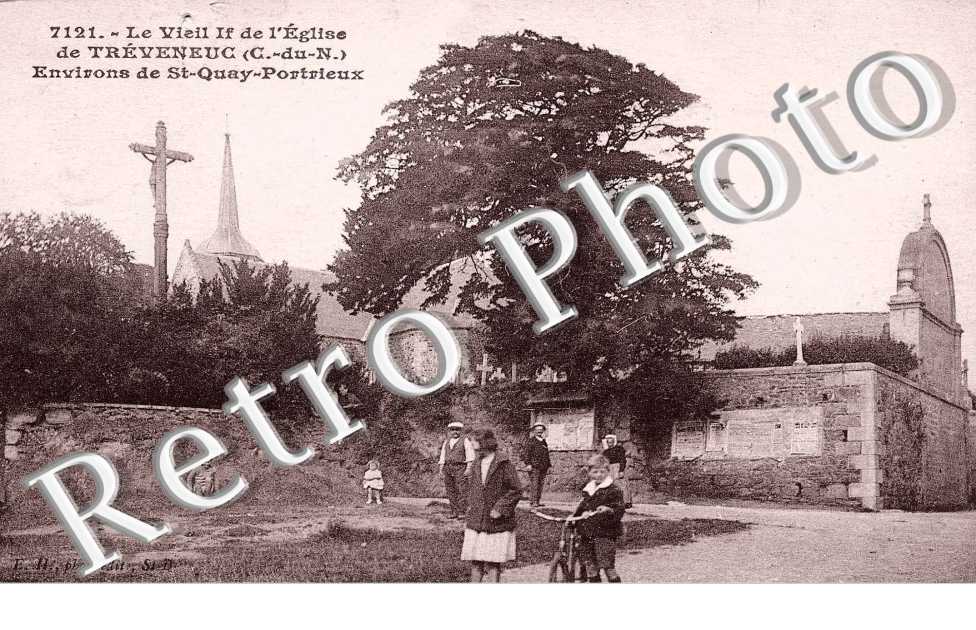 Le Viel if de l'Eglise