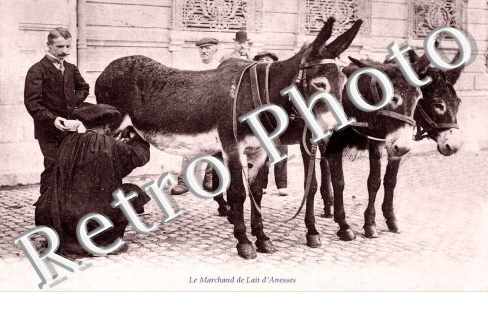 le marchand de lait d'anesses