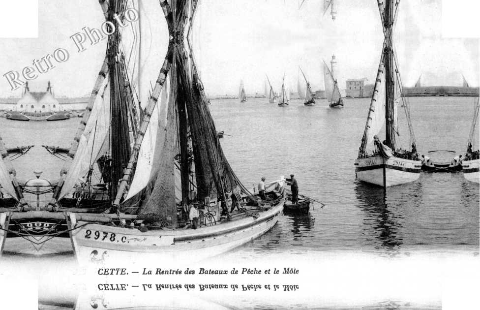 Bateaux de peche et le mole