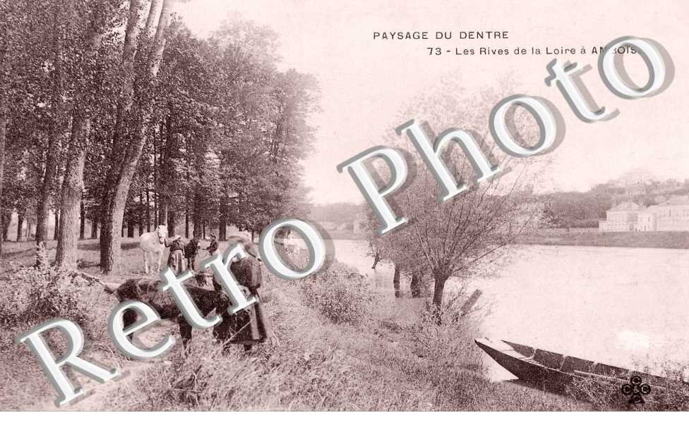 les rives de la loire