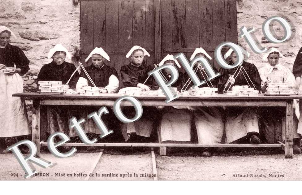 Mise en boîte de la sardine après la cuisson