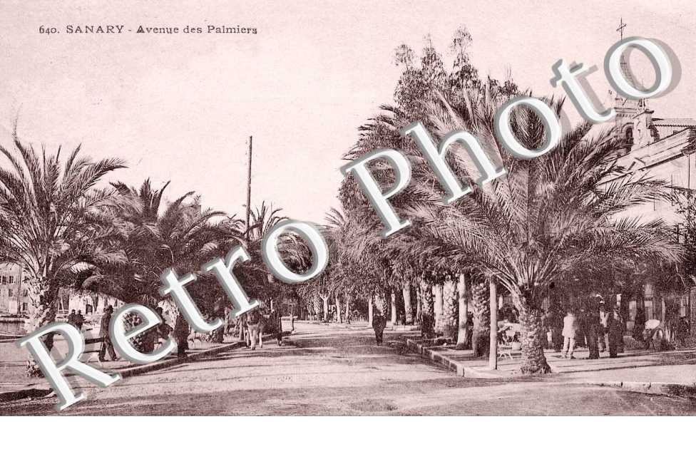 Avenue des Palmiers