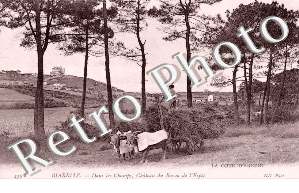 Dans les Champs, Chateau du Barron de l'Espee