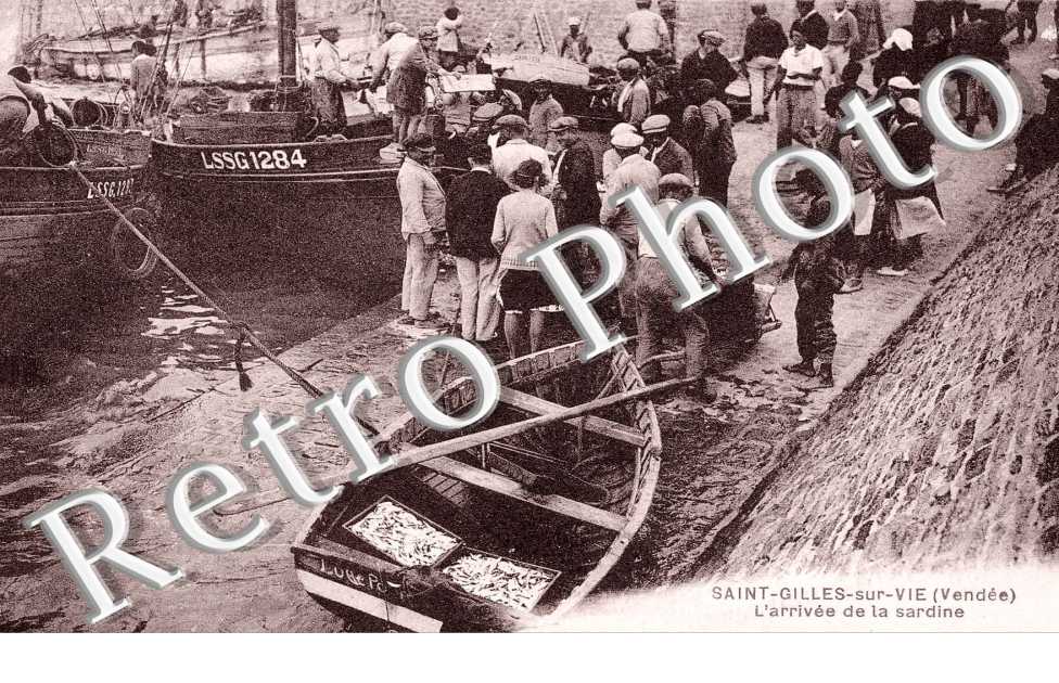 L'ARRIVEE DE LA SARDINE
