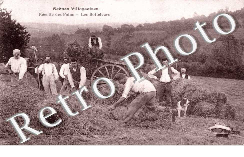 RECOLTE DES FLOINS - LES BOTTELEURS