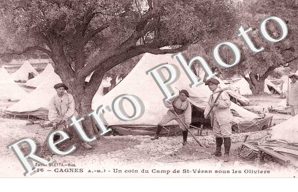 un coin du camp de St Veran sous les oliviers