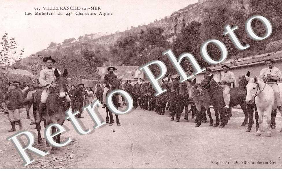 Les muletiers du 24e chasseurs alpins