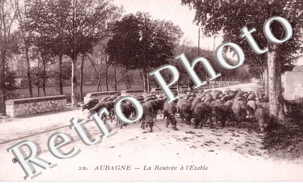 la rentree a l'etable