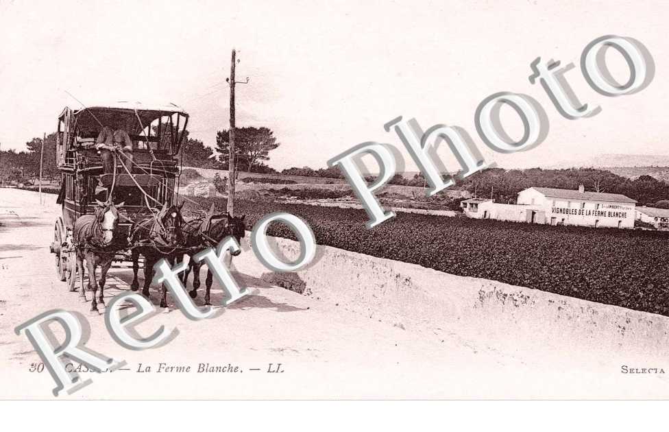 la ferme blanche