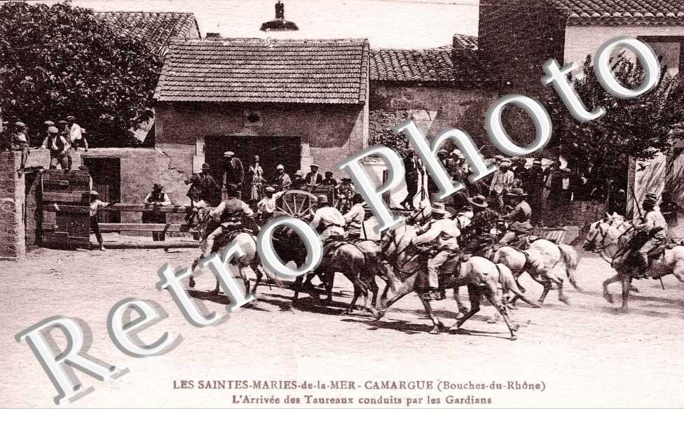 l'arrivee des taureaux