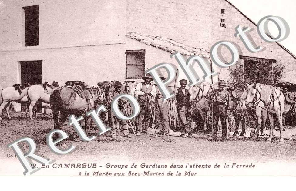 groupe de gardians dans l'attente de la ferrade a la maree