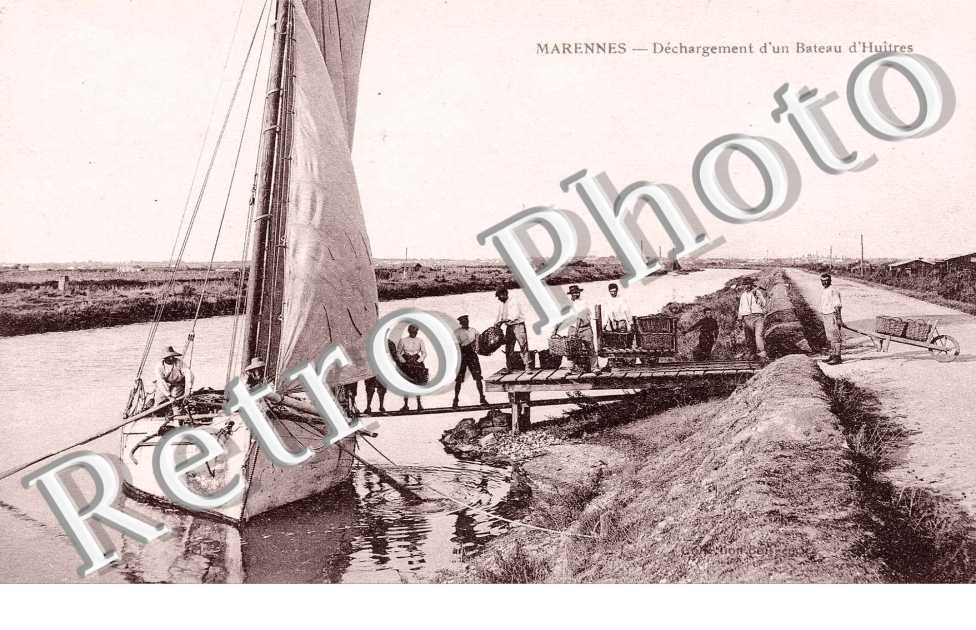 dechargement d'un bateau d'huitres