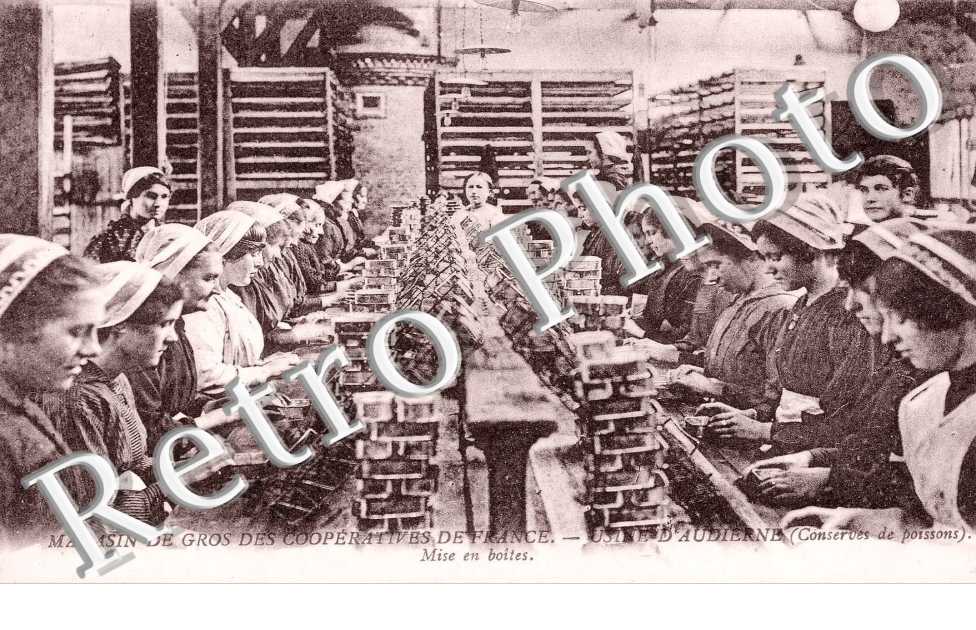Magasin de gros des cooperatives de France - Usine - conserves de poissons - mise en boites