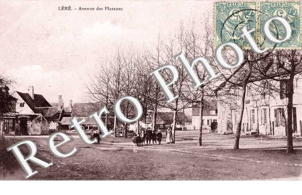 avenue des Platanes