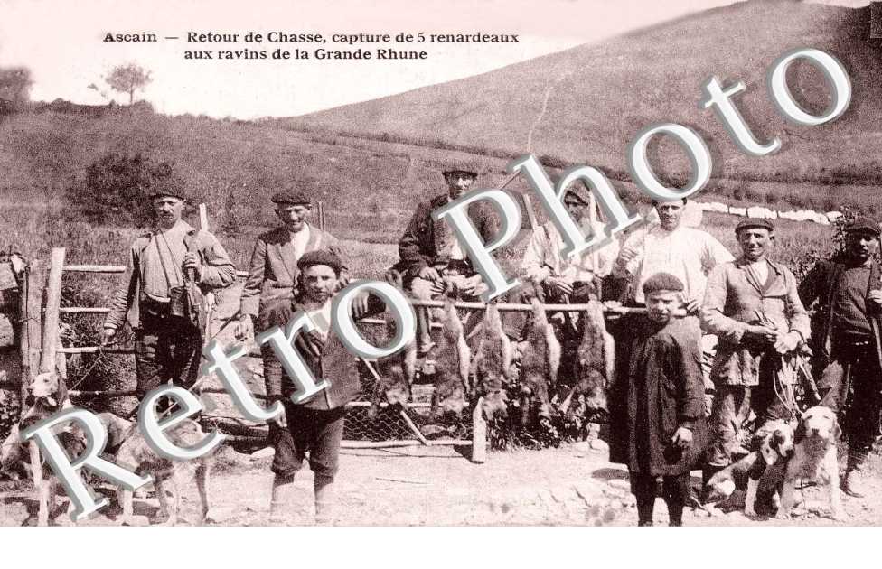Retour de chasse - capture de 5 renardeaux aux ravins de la Grande Rhune
