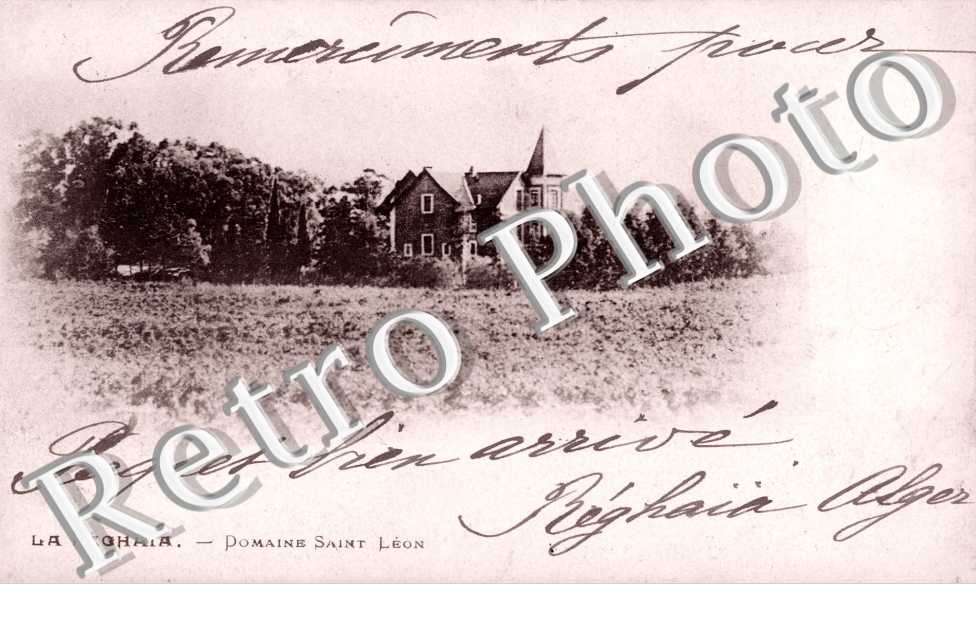 Domaine Saint Léon