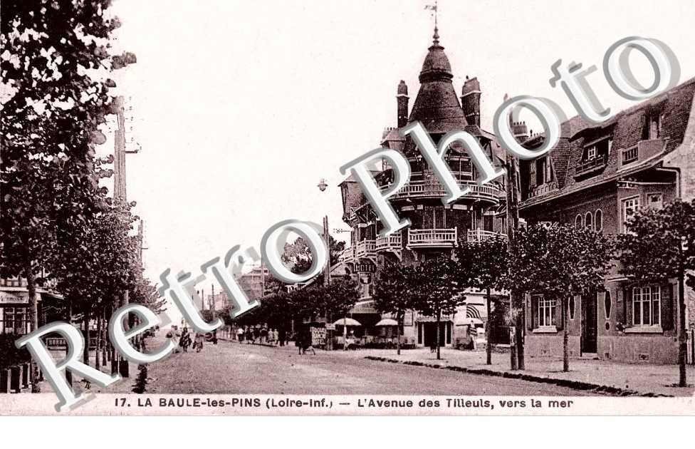 AVENUE  DES TILLEULS