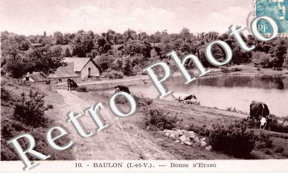 Bords d'Etang