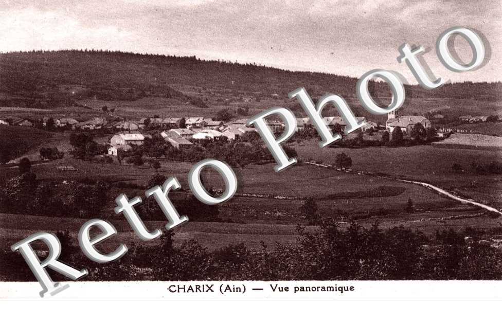 vue panoramique