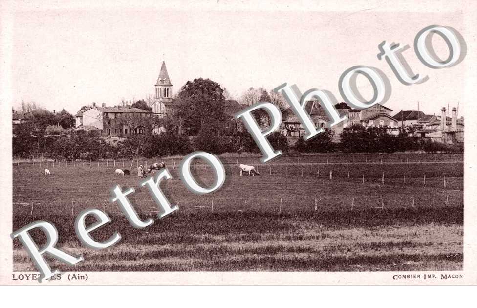vue générale