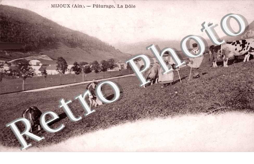 Paturage - La Dole