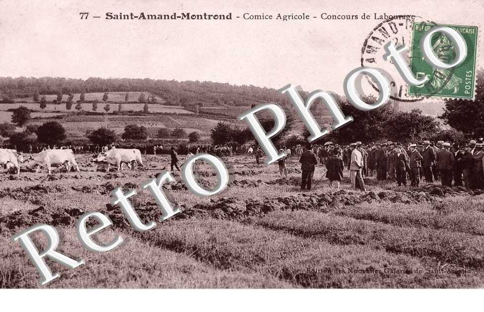comice agricole concours de labourage