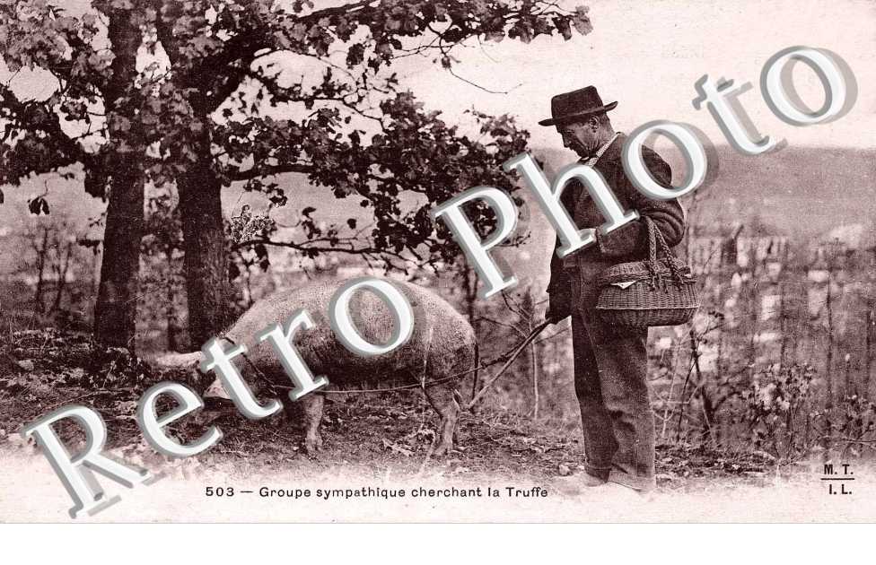 Groupe sympathique cherchant la truffe