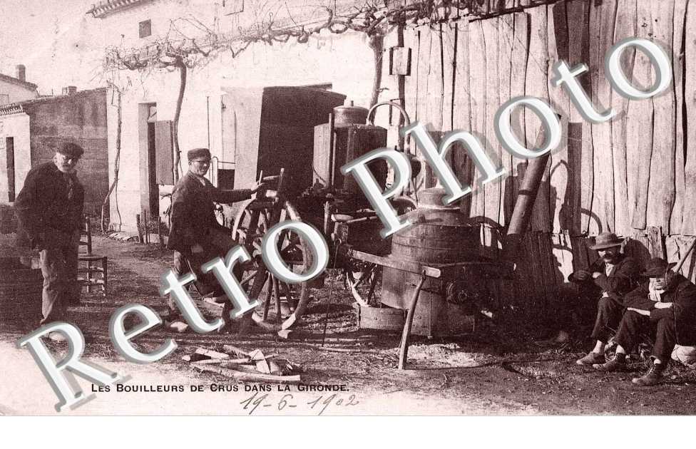 Les bouilleurs de crus