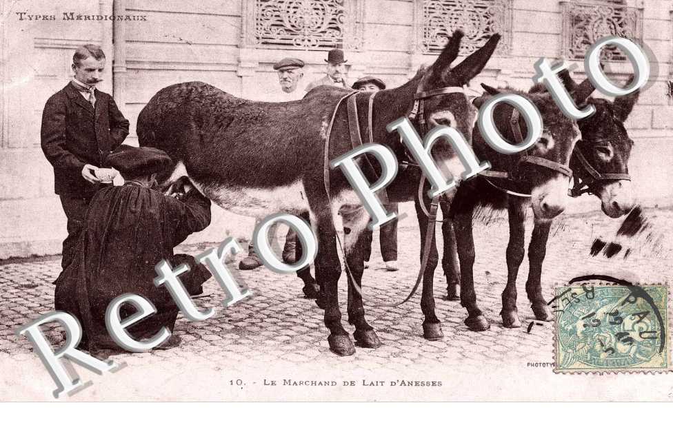 Marchand de lait d'Anesses