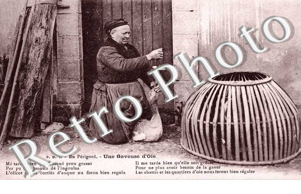 Gaveuse d'oie