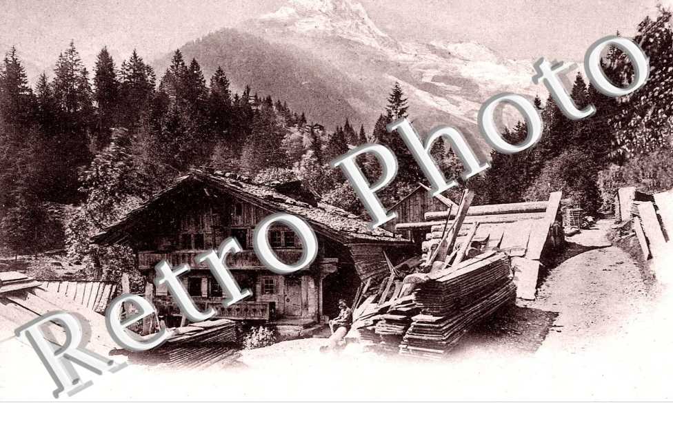 paysage alpestre