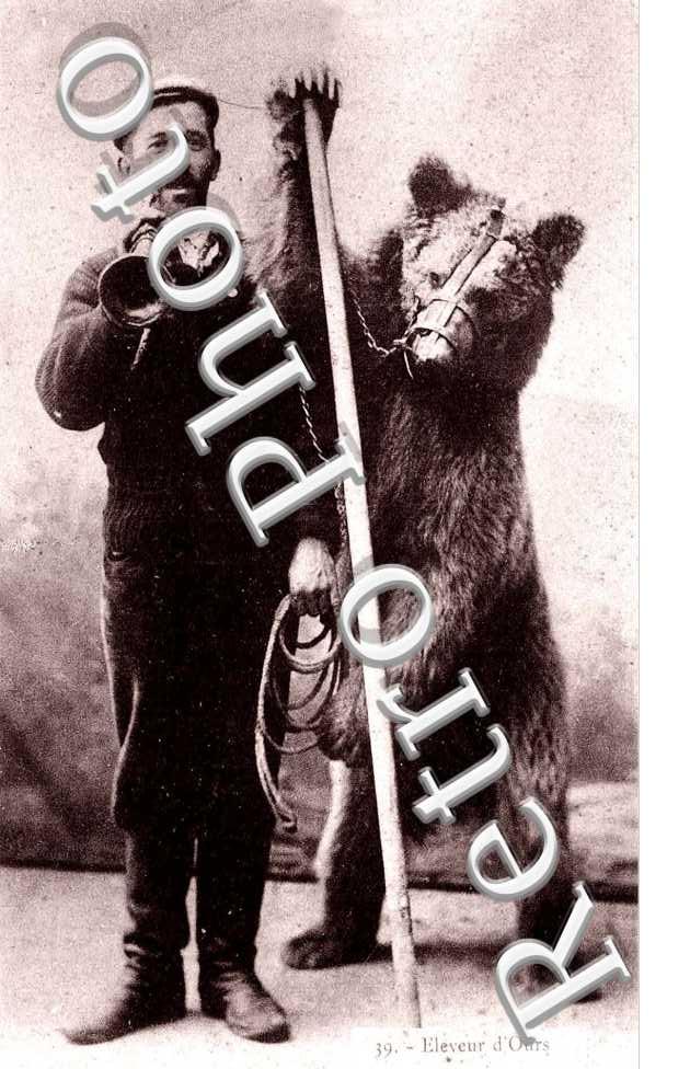 Montreur d'ours