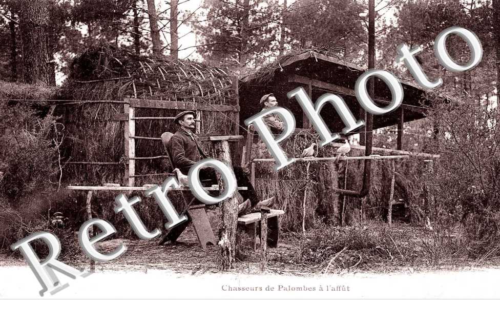 Chasseurs de Palombes à l'Affût