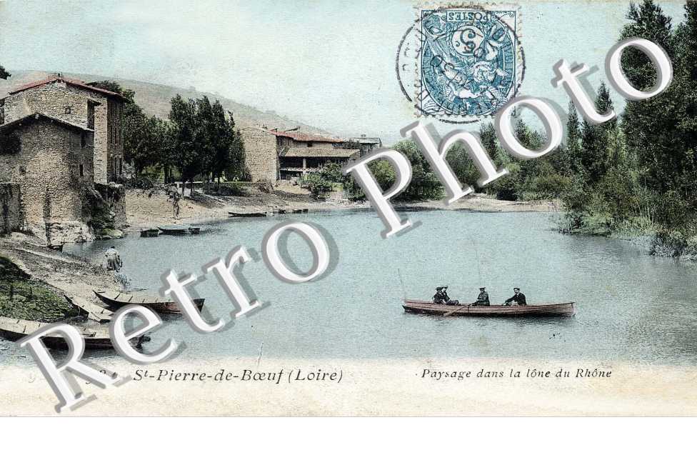 paysage dans la Ione du rhone 