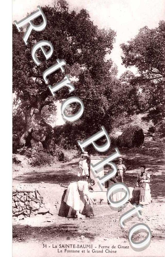 Ferme de Giniez, La Fontaine et le Grand Chene