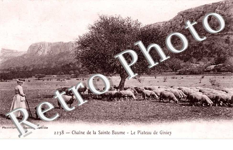 Chaine de la Sainte-Baume - Le plateau de Giniez