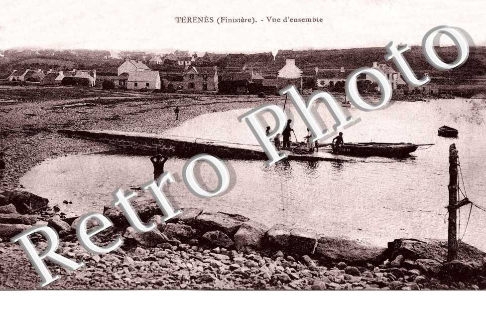 Terenes