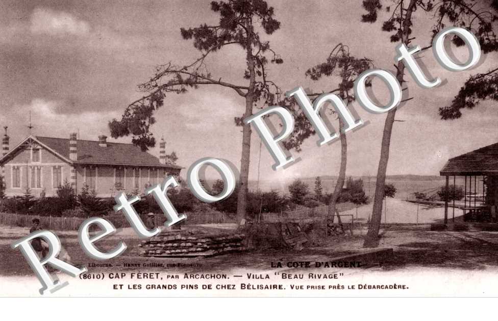 Villa " Beau-Rivage" et les grands pins de chez Bélisaire