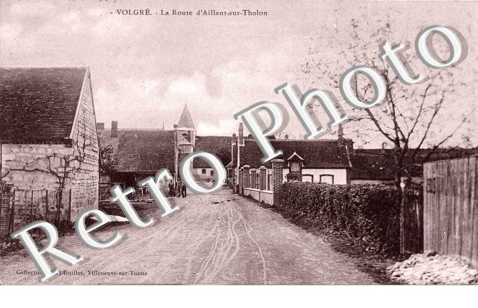 La route d'Aillant sur Tholon