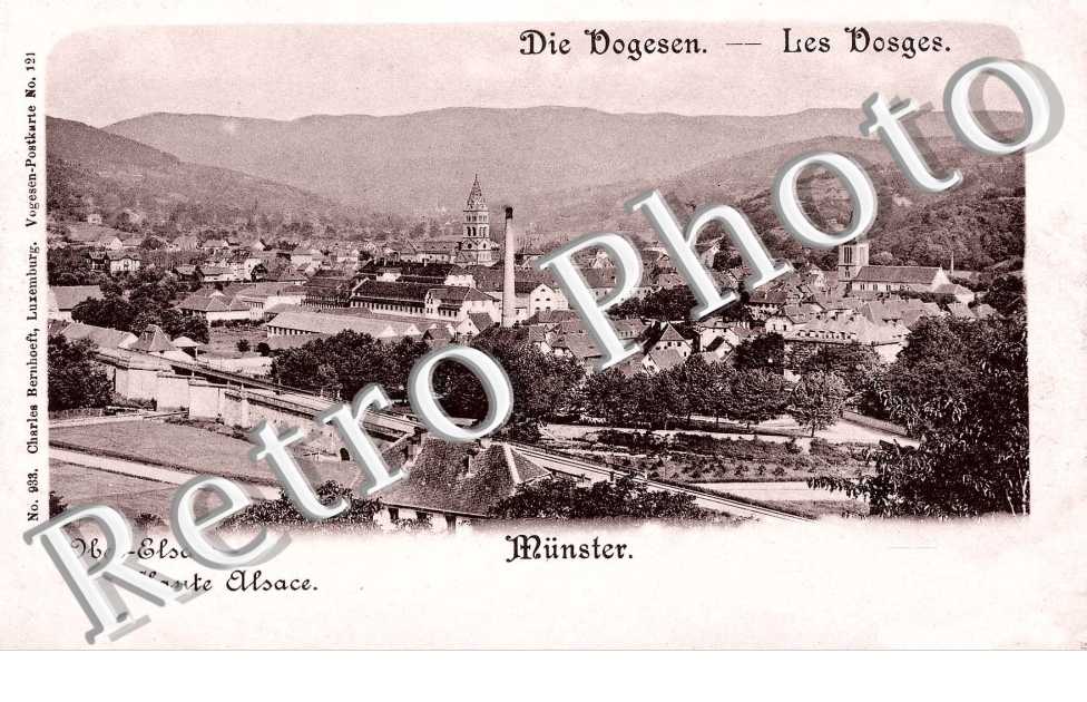 die Vogesen
