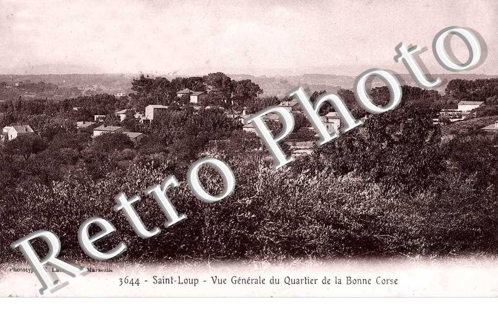 Saint-Loup - vue generale du quartier de la Bonne Corse